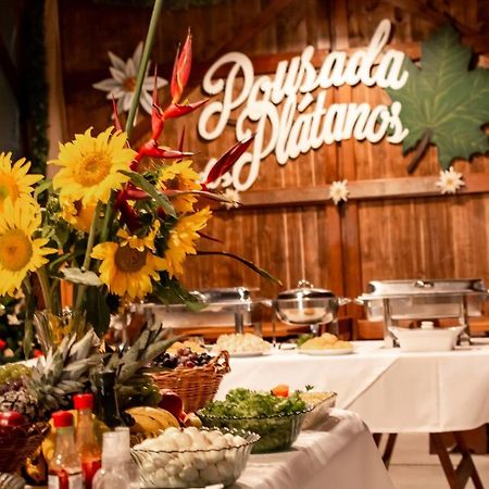 Pousada Dos Platanos Нова-Петрополис Экстерьер фото